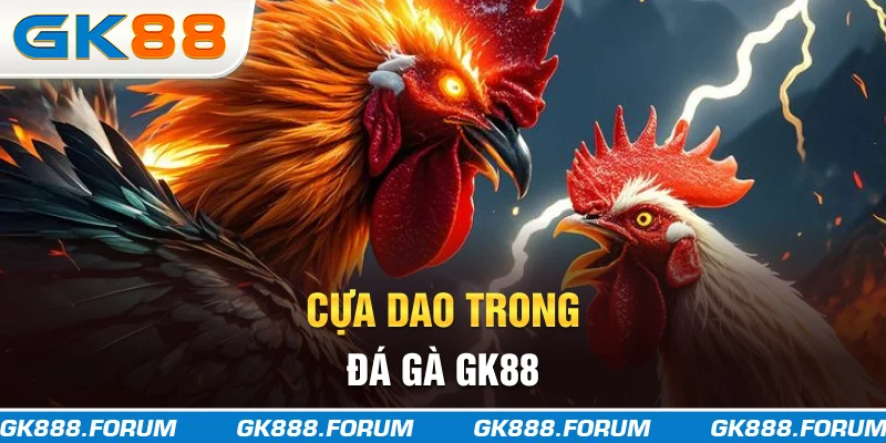 Cựa dao trong đá gà GK88