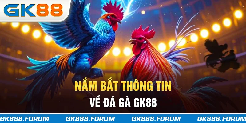 Nắm bắt thông tin về đá gà GK88