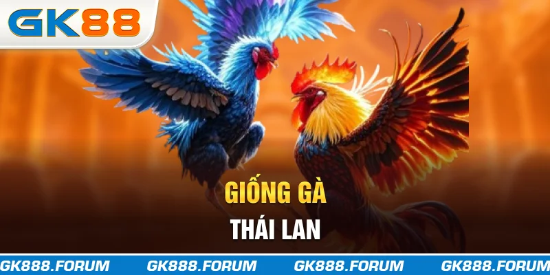 Giống gà Thái Lan