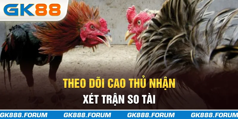 Theo dõi cao thủ nhận xét trận so tài