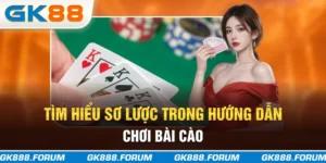 Tìm hiểu sơ lược trong hướng dẫn chơi bài cào